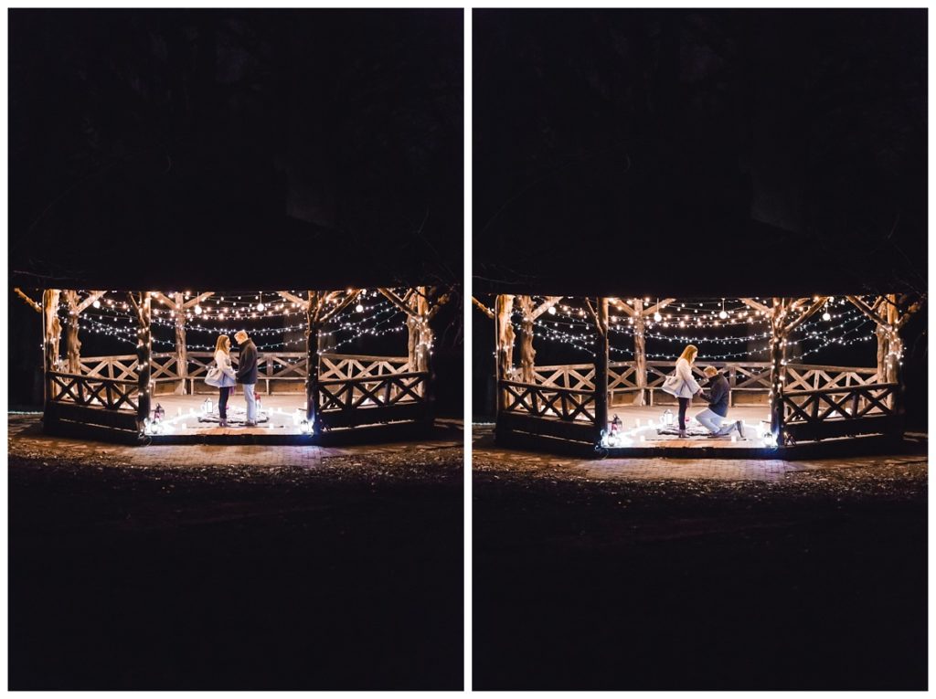 Chester County Proposal Photographer