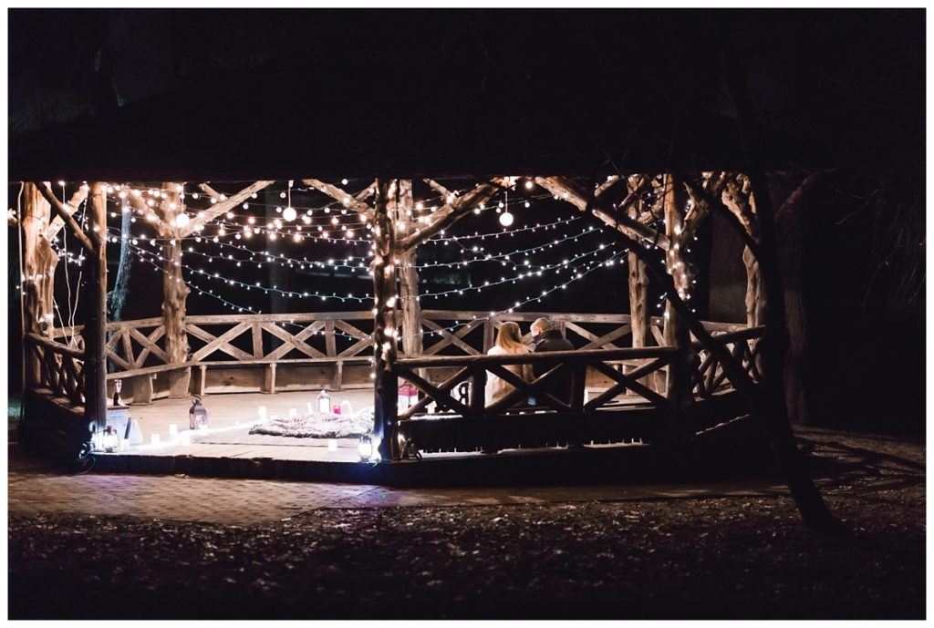 Chester County Proposal Photographer